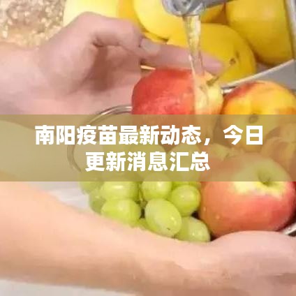 南阳疫苗最新动态，今日更新消息汇总