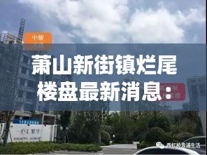 萧山新街镇烂尾楼盘最新消息：萧山 新街 