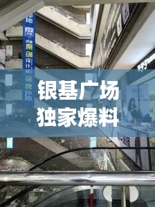 银基广场独家爆料，今日最新资讯全掌握