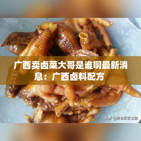 广西卖卤菜大哥是谁啊最新消息：广西卤料配方 