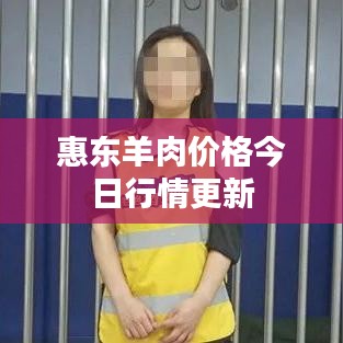 惠东羊肉价格今日行情更新