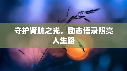 守护肾脏之光，励志语录照亮人生路