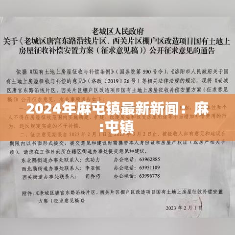 2024年麻屯镇最新新闻：麻:屯镇 