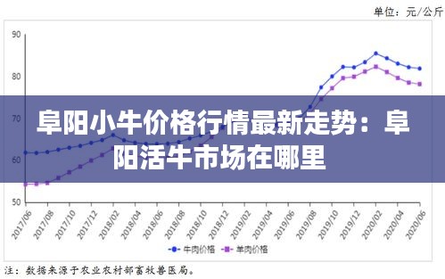 阜阳小牛价格行情最新走势：阜阳活牛市场在哪里 