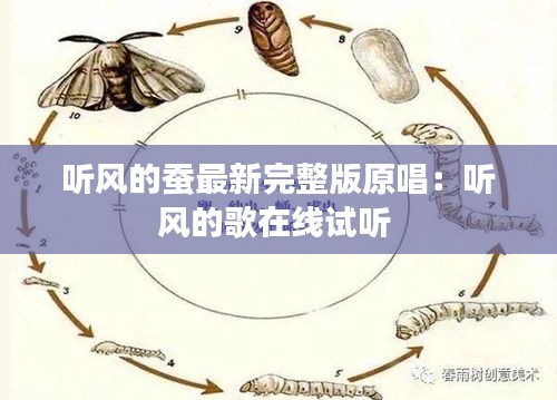 听风的蚕最新完整版原唱：听风的歌在线试听 