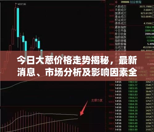 今日大葱价格走势揭秘，最新消息、市场分析及影响因素全解析