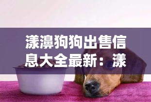 漾濞狗狗出售信息大全最新：漾濞小区 