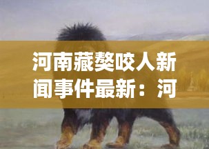 河南藏獒咬人新闻事件最新：河南藏獒协会会长 