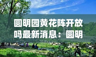 圆明园黄花阵开放吗最新消息：圆明园 花 