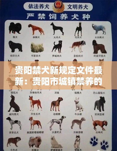 贵阳禁犬新规定文件最新：贵阳市城镇禁养的21种烈性犬 