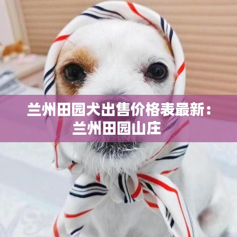 兰州田园犬出售价格表最新：兰州田园山庄 