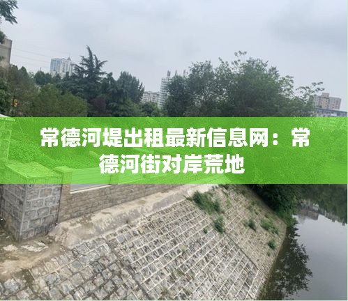 常德河堤出租最新信息网：常德河街对岸荒地 