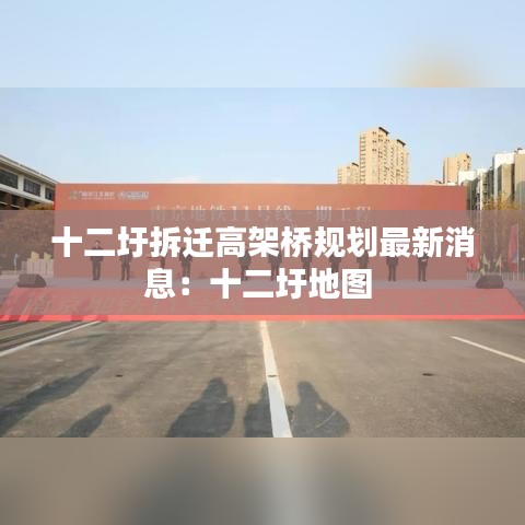 十二圩拆迁高架桥规划最新消息：十二圩地图 