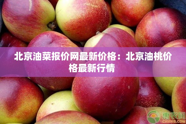 北京油菜报价网最新价格：北京油桃价格最新行情 