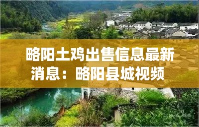 略阳土鸡出售信息最新消息：略阳县城视频 