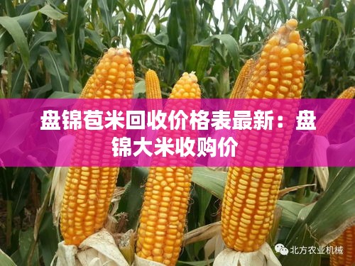 盘锦苞米回收价格表最新：盘锦大米收购价 