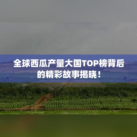 全球西瓜产量大国TOP榜背后的精彩故事揭晓！