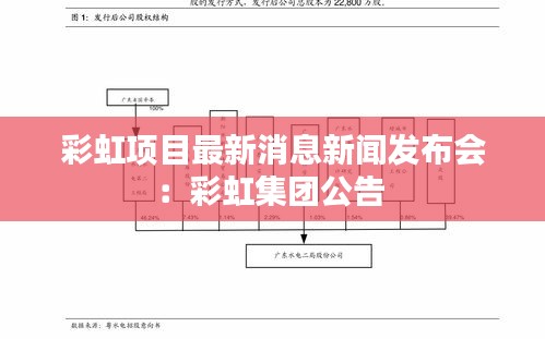 彩虹项目最新消息新闻发布会：彩虹集团公告 