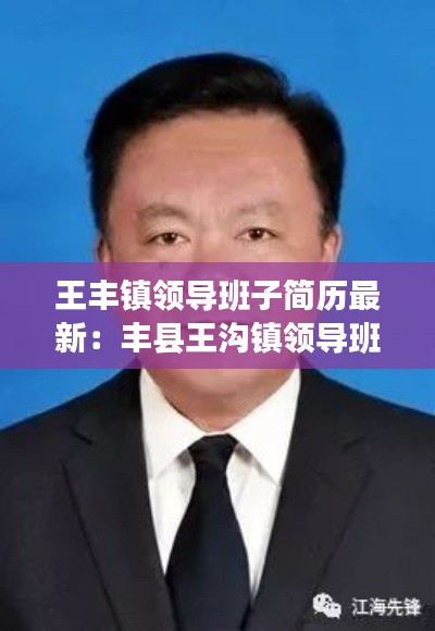 王丰镇领导班子简历最新：丰县王沟镇领导班子 