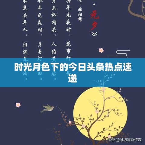 时光月色下的今日头条热点速递