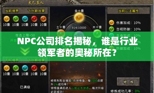 NPC公司排名揭秘，谁是行业领军者的奥秘所在？