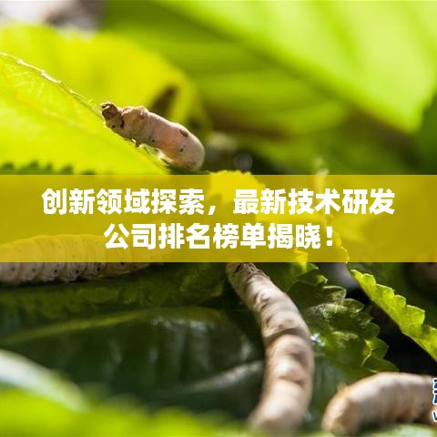 创新领域探索，最新技术研发公司排名榜单揭晓！