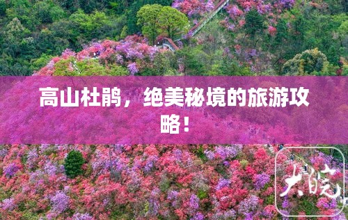 高山杜鹃，绝美秘境的旅游攻略！