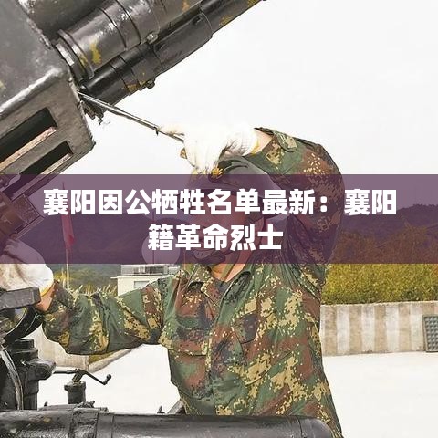 襄阳因公牺牲名单最新：襄阳籍革命烈士 