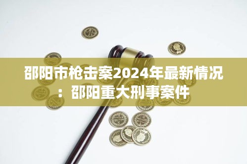 邵阳市枪击案2024年最新情况：邵阳重大刑事案件 