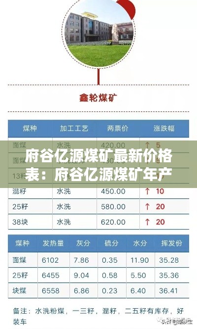 府谷亿源煤矿最新价格表：府谷亿源煤矿年产多少吨 