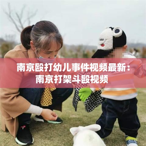 南京殴打幼儿事件视频最新：南京打架斗殴视频 