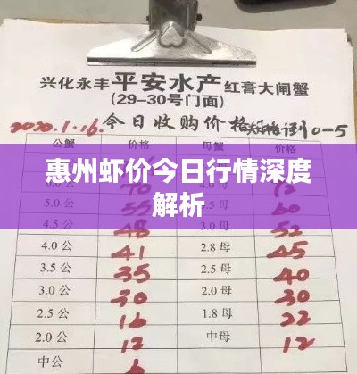 惠州虾价今日行情深度解析