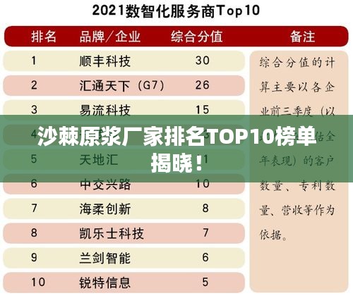 沙棘原浆厂家排名TOP10榜单揭晓！