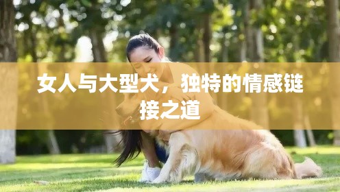 女人与大型犬，独特的情感链接之道