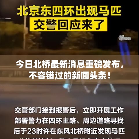 今日北桥最新消息重磅发布，不容错过的新闻头条！