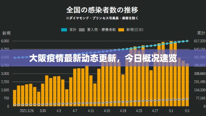 大阪疫情最新动态更新，今日概况速览