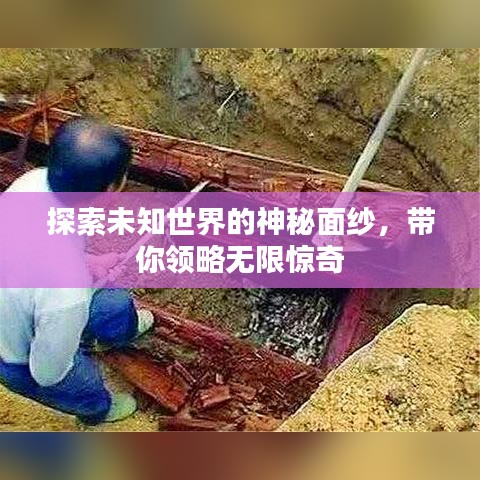 探索未知世界的神秘面纱，带你领略无限惊奇