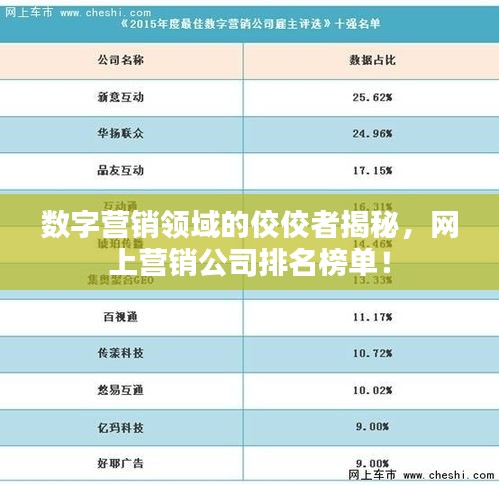 数字营销领域的佼佼者揭秘，网上营销公司排名榜单！