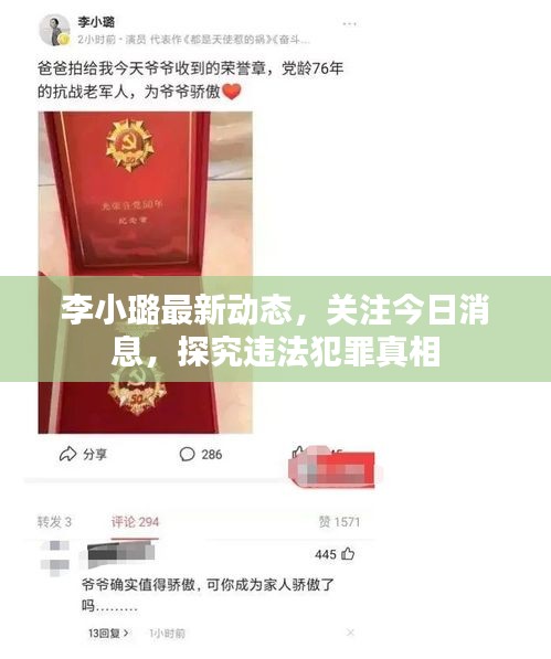 李小璐最新动态，关注今日消息，探究违法犯罪真相