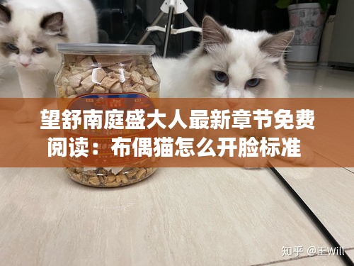 望舒南庭盛大人最新章节免费阅读：布偶猫怎么开脸标准 