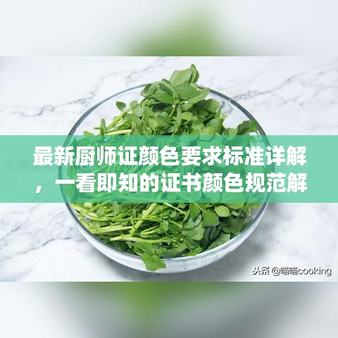 最新厨师证颜色要求标准详解，一看即知的证书颜色规范解析