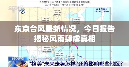 东京台风最新情况，今日报告揭秘风雨肆虐真相