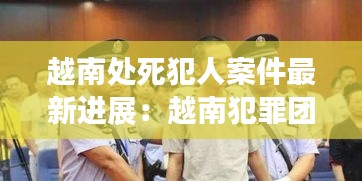 越南处死犯人案件最新进展：越南犯罪团伙 