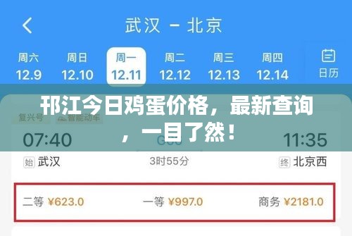 邗江今日鸡蛋价格，最新查询，一目了然！