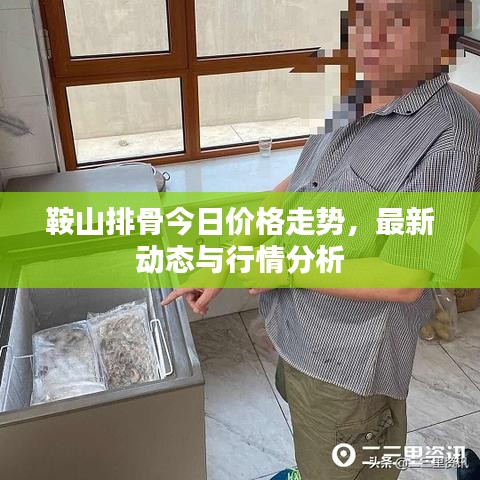 鞍山排骨今日价格走势，最新动态与行情分析