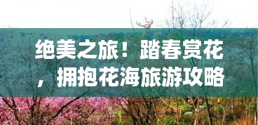 绝美之旅！踏春赏花，拥抱花海旅游攻略大揭秘