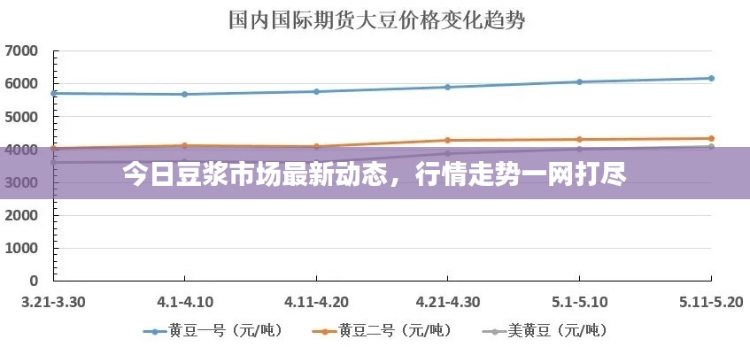 今日豆浆市场最新动态，行情走势一网打尽