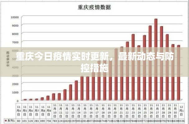 重庆今日疫情实时更新，最新动态与防控措施