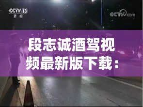 段志诚酒驾视频最新版下载：段志才案 