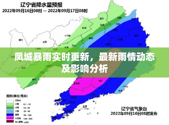 凤城暴雨实时更新，最新雨情动态及影响分析